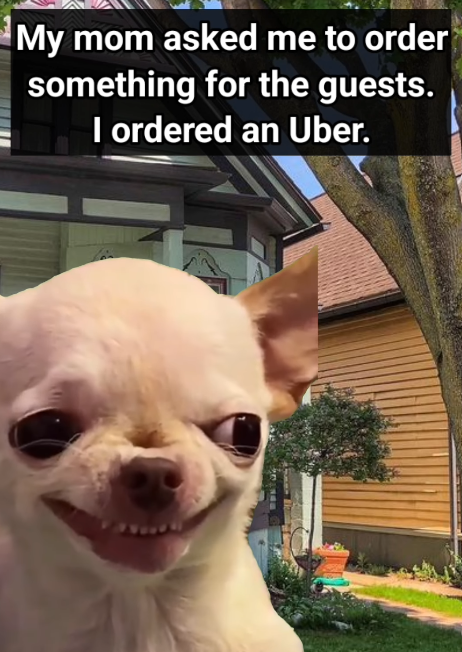 My mom asked me to order something for the guests. I ordered an Uber.