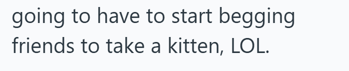 going to have to start begging friends to take a kitten, LOL.
