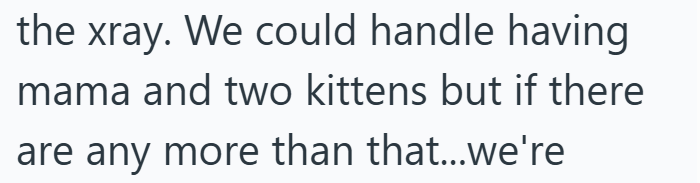 the xray. We could handle having mama and two kittens but if there are any more than that...we're