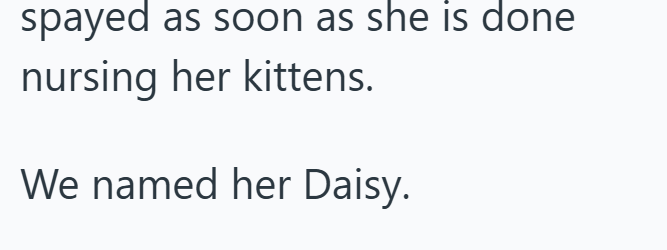 spayed as soon as she is done nursing her kittens. We named her Daisy.