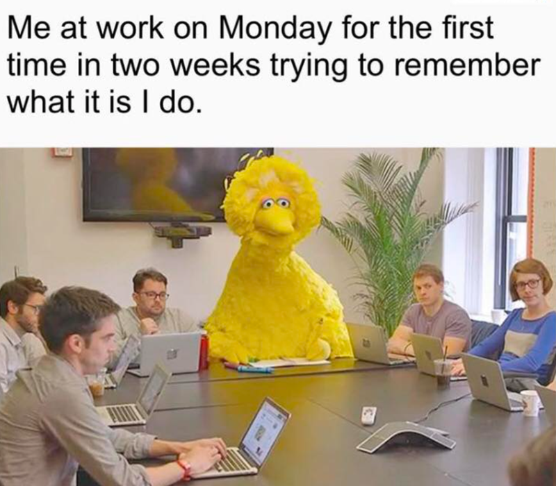 Me at work on Monday for the first time in two weeks trying to remember what it is I do.