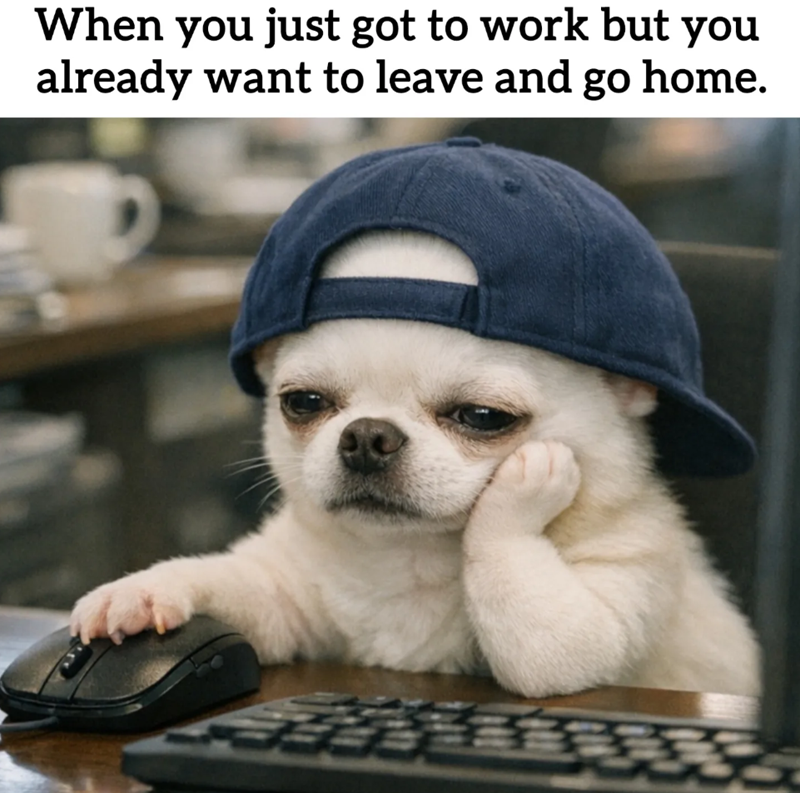 When you just got to work but you already want to leave and go home.