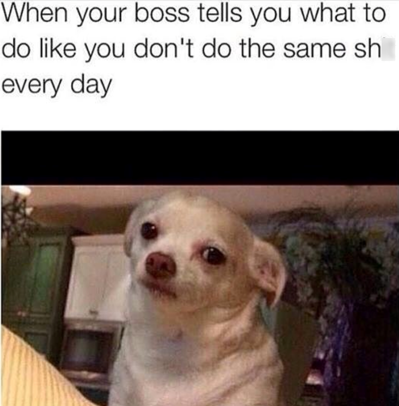 When your boss tells you what to do like you don't do the same sh every day