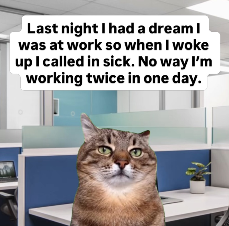 Last night I had a dream I was at work so when I woke up I called in sick. No way I'm working twice in one day.