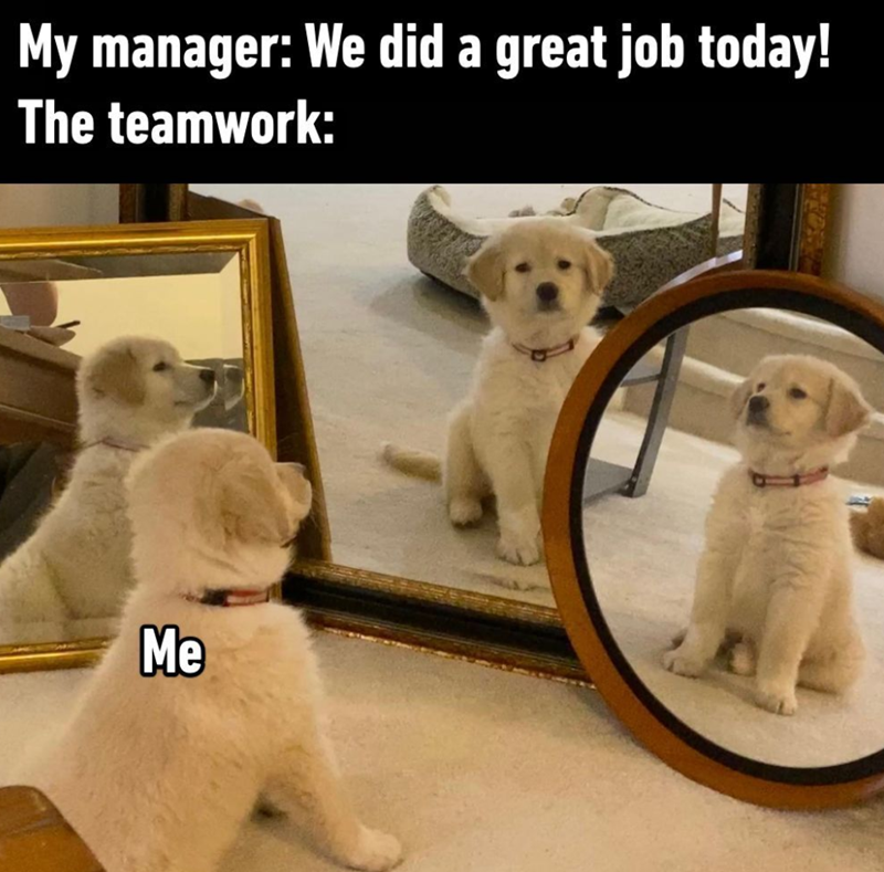 My manager: We did a great job today! The teamwork: Me