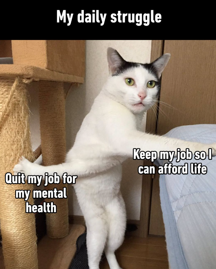 My daily struggle Quit my job for my mental health Keep my job so I can afford life
