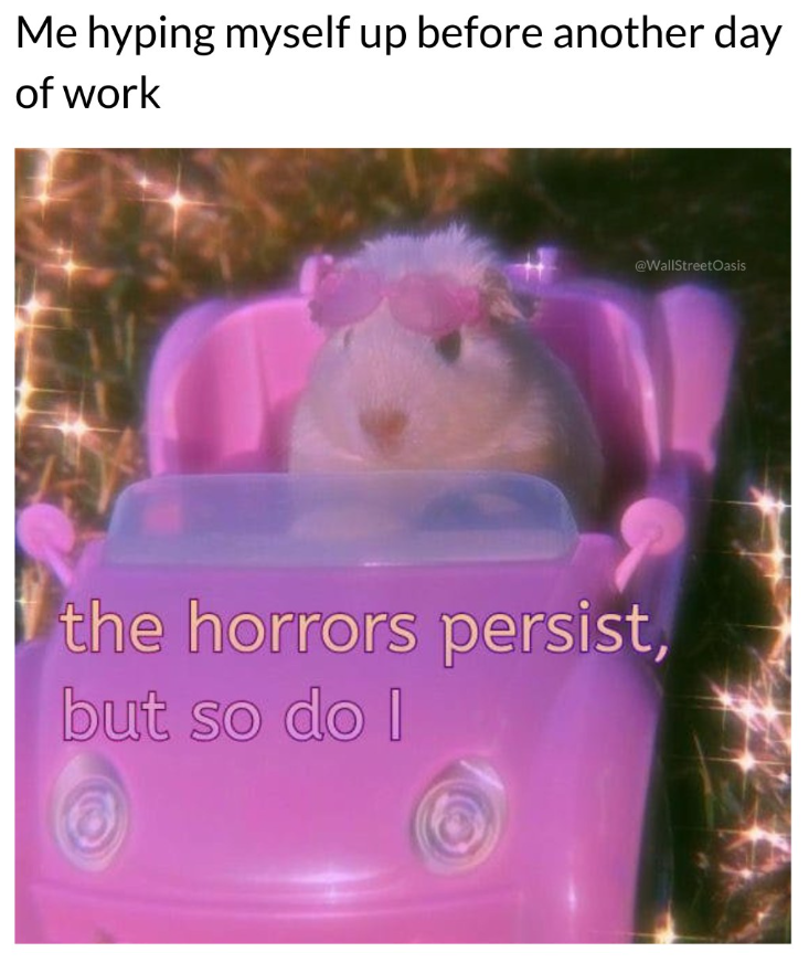 Me hyping myself up before another day. of work @WallStreetOasis the horrors persist, but so do I