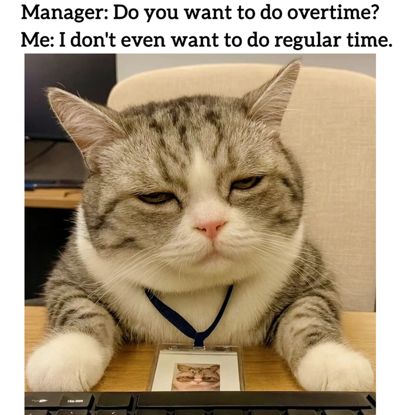 Manager: Do you want to do overtime? Me: I don't even want to do regular time. ID2