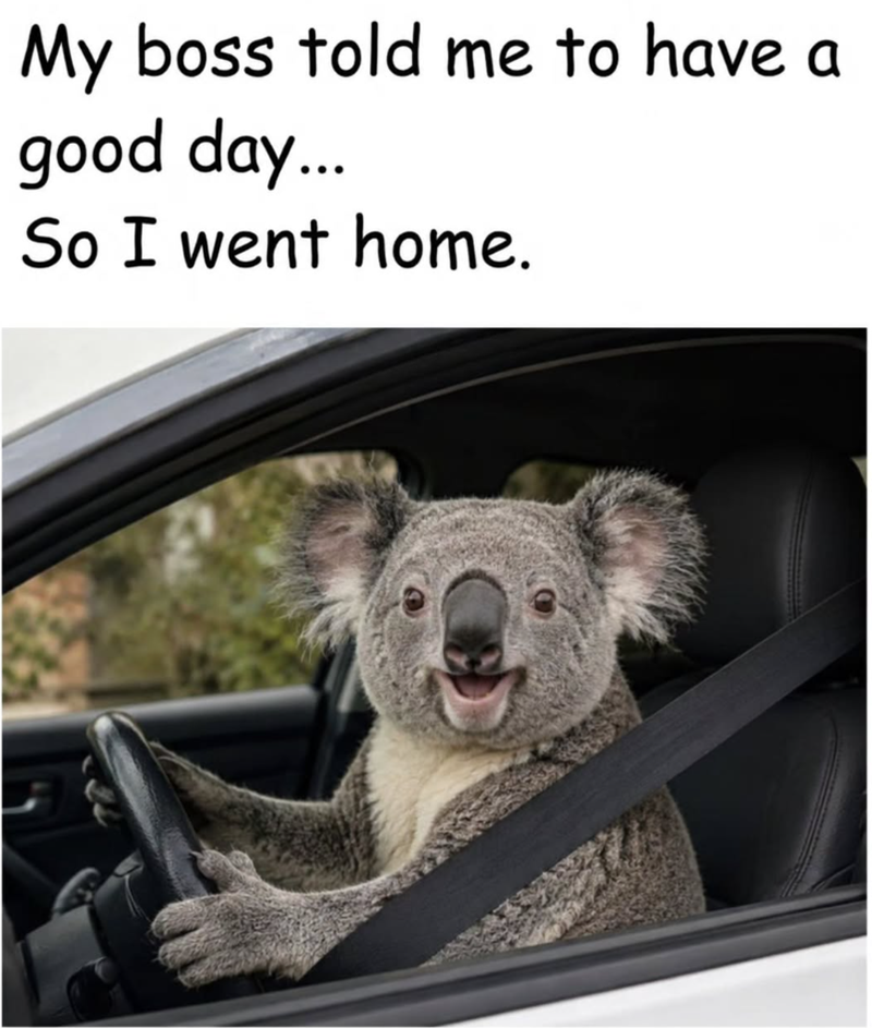 My boss told me to have a good day... So I went home.