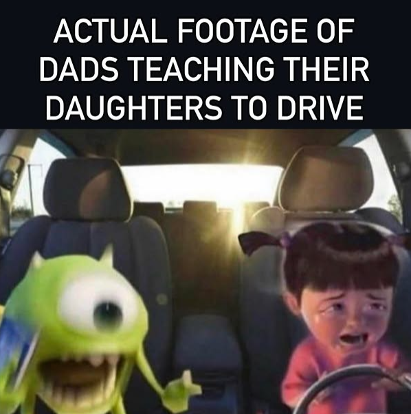 ACTUAL FOOTAGE OF DADS TEACHING THEIR DAUGHTERS TO DRIVE
