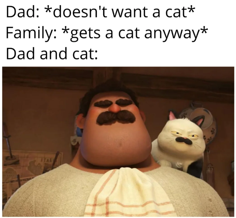Dad: *doesn't want a cat* Family: *gets a cat anyway* Dad and cat: ITAL