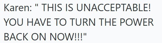 Karen: "THIS IS UNACCEPTABLE! YOU HAVE TO TURN THE POWER BACK ON NOW!!!"