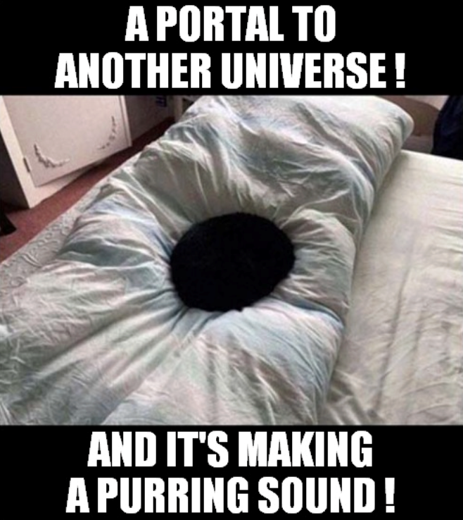 A PORTAL TO ANOTHER UNIVERSE! AND IT'S MAKING A PURRING SOUND!