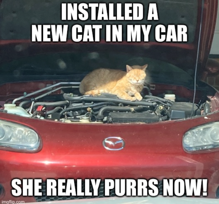 INSTALLED A NEW CAT IN MY CAR SHE REALLY PURRS NOW! imgflip.com