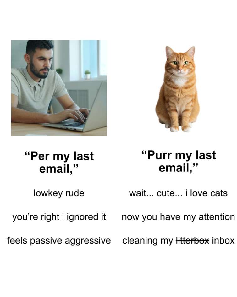 "Per my last email," lowkey rude "Purr my last email," wait... cute... i love cats you're right i ignored it now you have my attention feels passive aggressive cleaning my litterbox inbox