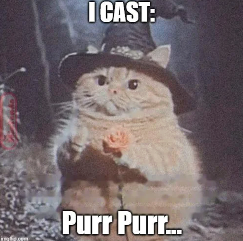 imgflip.com I CAST: Purr Purr...