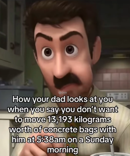 @dev How your dad looks at you when you say you don't want to move 13,193 kilograms worth of concrete bags with him at 5:38am on a Sunday morning