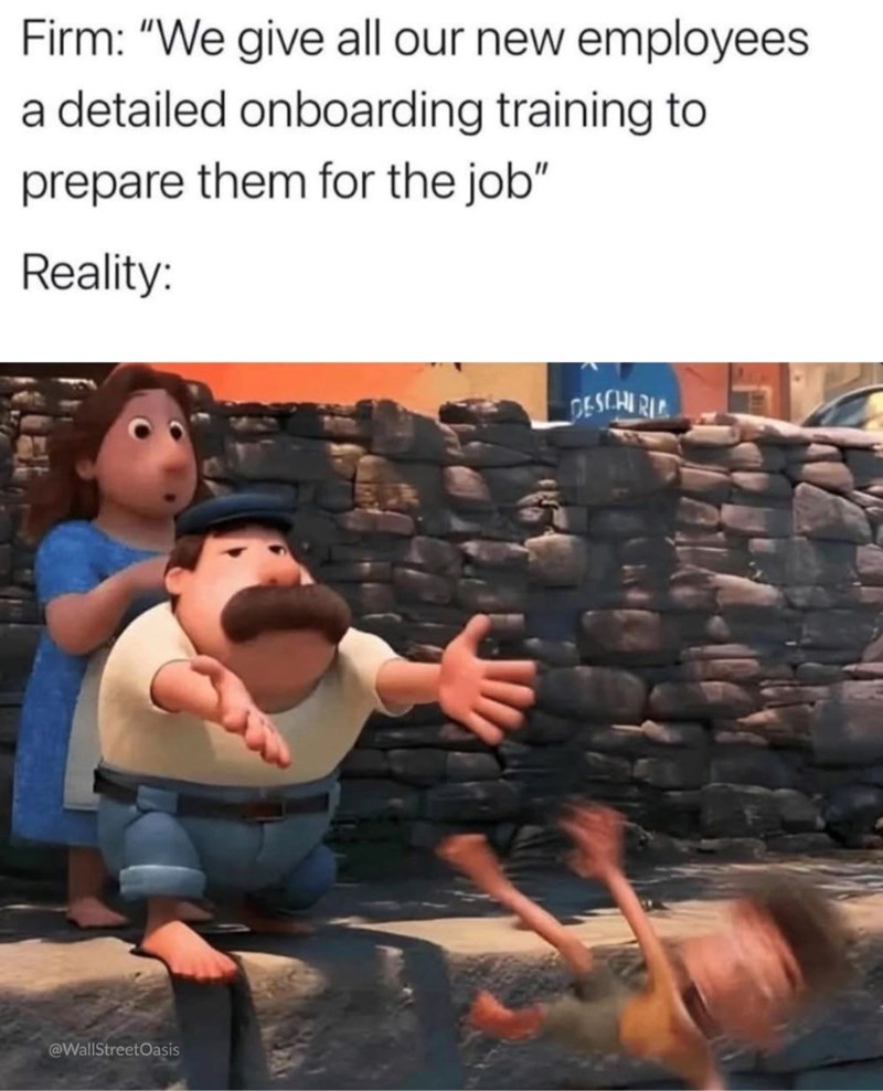Firm: "We give all our new employees a detailed onboarding training to prepare them for the job" Reality: @WallStreetOasis DESCHIRIE