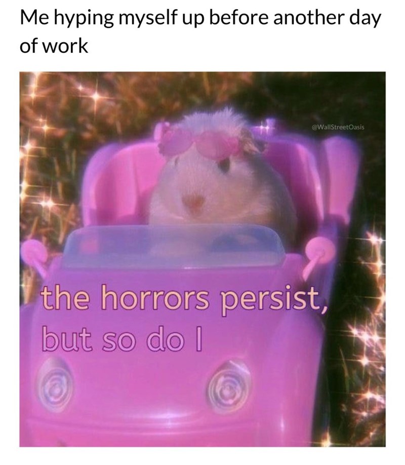 Me hyping myself up before another day of work @WallStreetOasis the horrors persist, but so do I