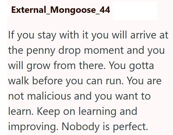 External_Mongoose_44 If you stay with it you will arrive at the penny drop moment and you will grow from there. You gotta walk before you can run. You are not malicious and you want to learn. Keep on learning and improving. Nobody is perfect.