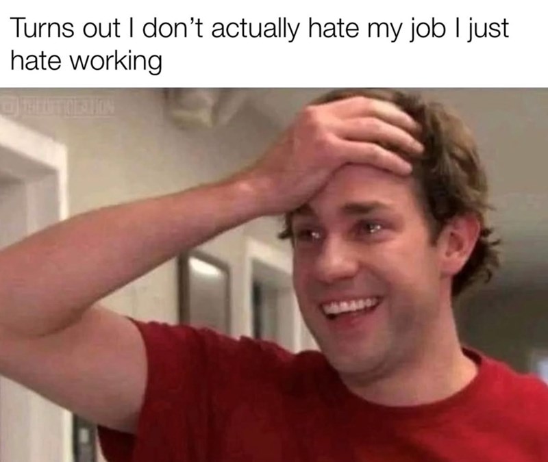Turns out I don't actually hate my job I just hate working