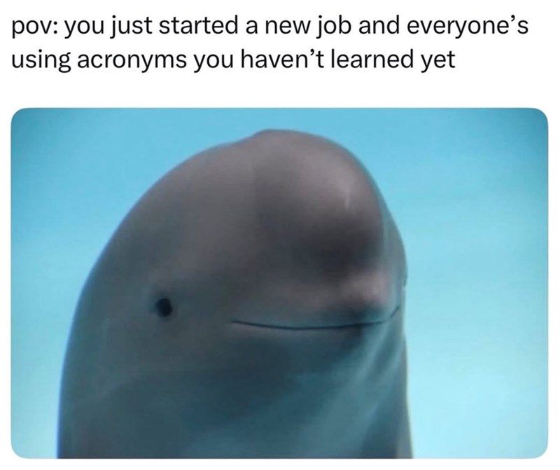 pov: you just started a new job and everyone's using acronyms you haven't learned yet