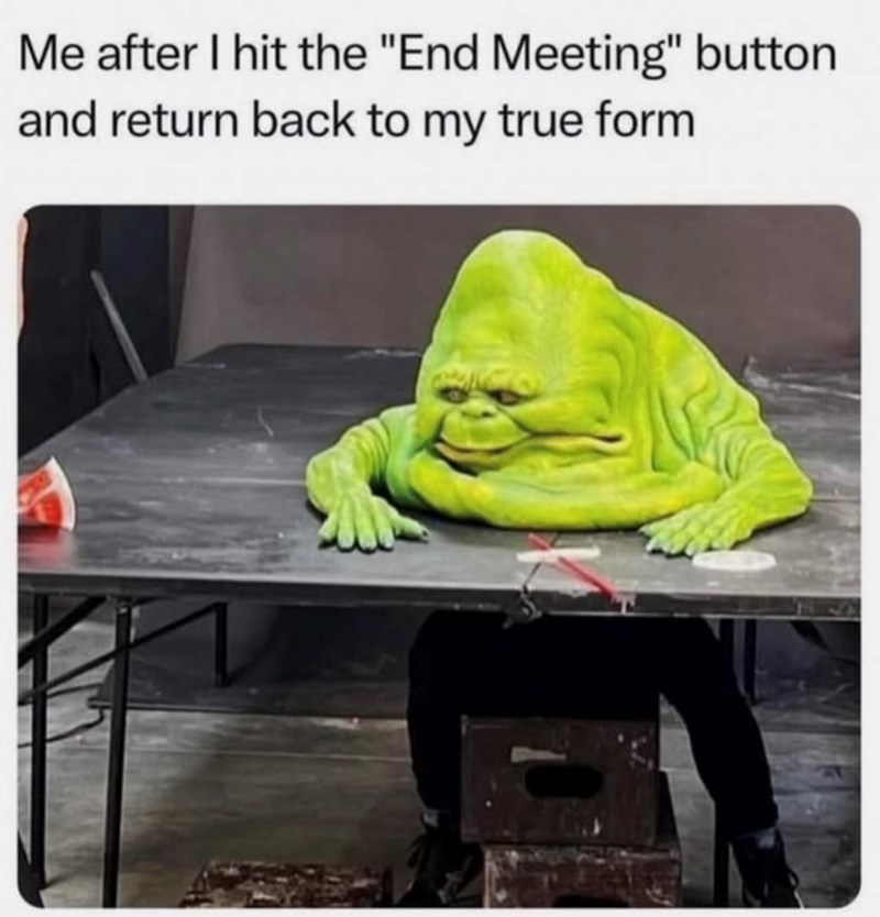 Me after I hit the "End Meeting" button and return back to my true form