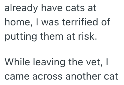 already have cats at home, I was terrified of putting them at risk. While leaving the vet, I came across another cat