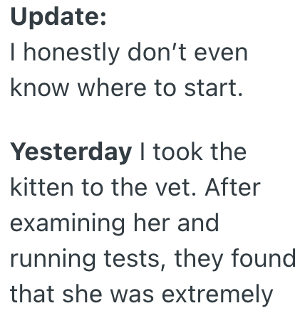 Update: I honestly don't even know where to start. Yesterday I took the kitten to the vet. After examining her and running tests, they found that she was extremely