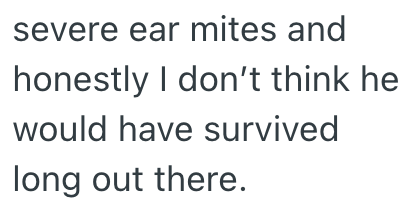 severe ear mites and honestly I don't think he would have survived long out there.
