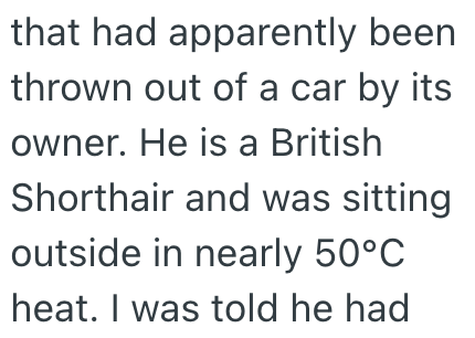 that had apparently been thrown out of a car by its owner. He is a British Shorthair and was sitting outside in nearly 50°C heat. I was told he had