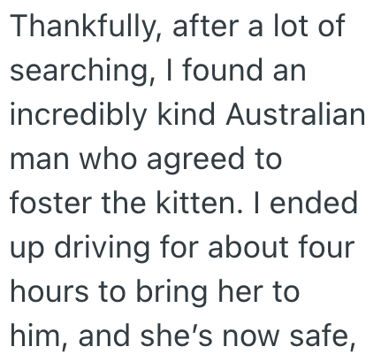 Thankfully, after a lot of searching, I found an incredibly kind Australian man who agreed to foster the kitten. I ended up driving for about four hours to bring her to him, and she's now safe,