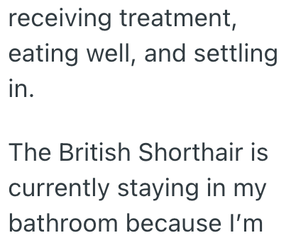 receiving treatment, eating well, and settling in. The British Shorthair is currently staying in my bathroom because I'm