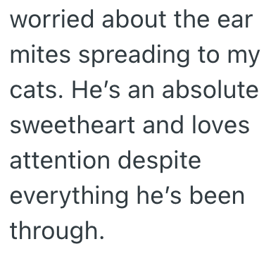 worried about the ear mites spreading to my cats. He's an absolute sweetheart and loves attention despite everything he's been through.