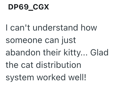 DP69_CGX I can't understand how someone can just abandon their kitty... Glad the cat distribution system worked well!