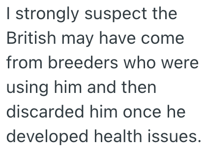 I strongly suspect the British may have come from breeders who were using him and then discarded him once he developed health issues.