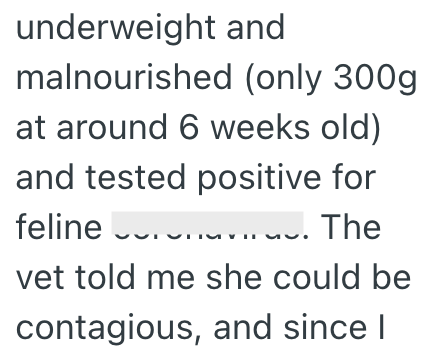 underweight and malnourished (only 300g. at around 6 weeks old) and tested positive for feline The vet told me she could be contagious, and since I