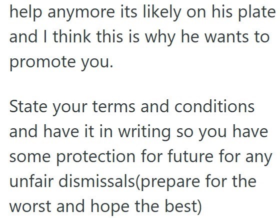 help anymore its likely on his plate and I think this is why he wants to promote you. State your terms and conditions and have it in writing so you have some protection for future for any unfair dismissals(prepare for the worst and hope the best)