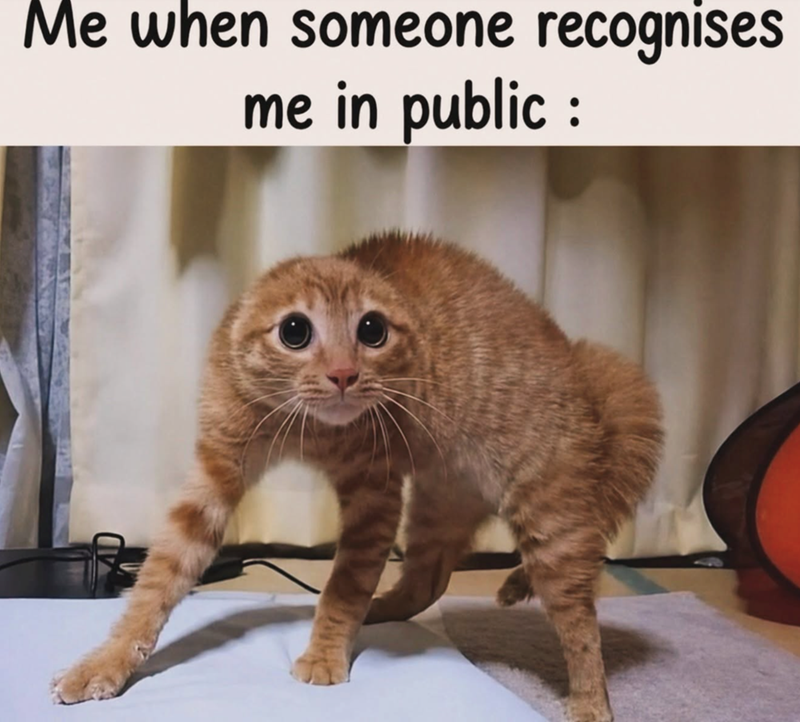 Me when someone recognises me in public: