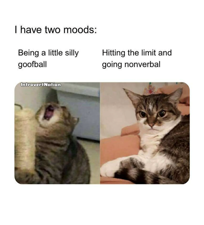 I have two moods: Being a little silly goofball Hitting the limit and going nonverbal IntrovertNation