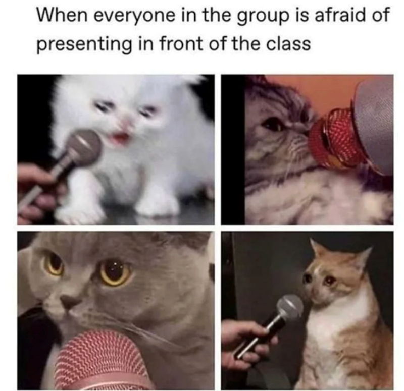 When everyone in the group is afraid of presenting in front of the class
