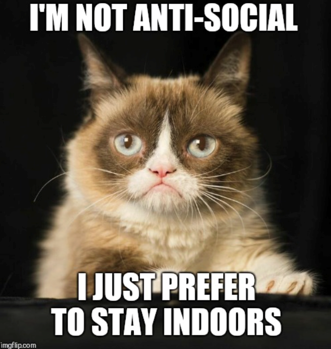 I'M NOT ANTI-SOCIAL imgflip.com I JUST PREFER TO STAY INDOORS