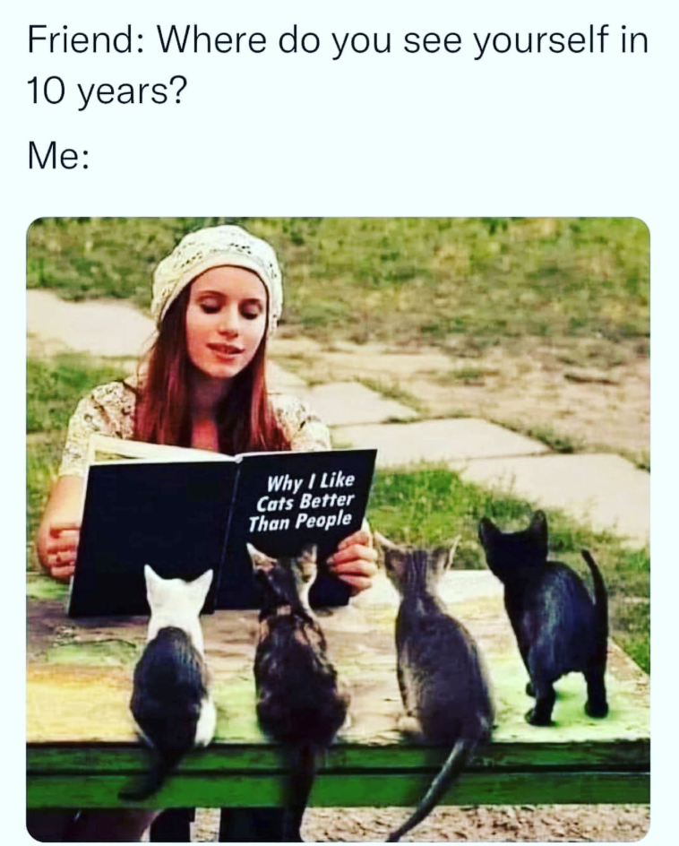 Friend: Where do you see yourself in 10 years? Me: Why I Like Cats Better Than People