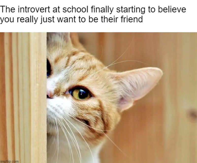 The introvert at school finally starting to believe you really just want to be their friend imgflip.com