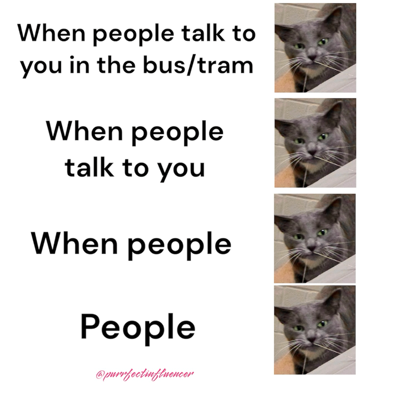 When people talk to you in the bus/tram When people talk to you When people People @purrfectinfluencer