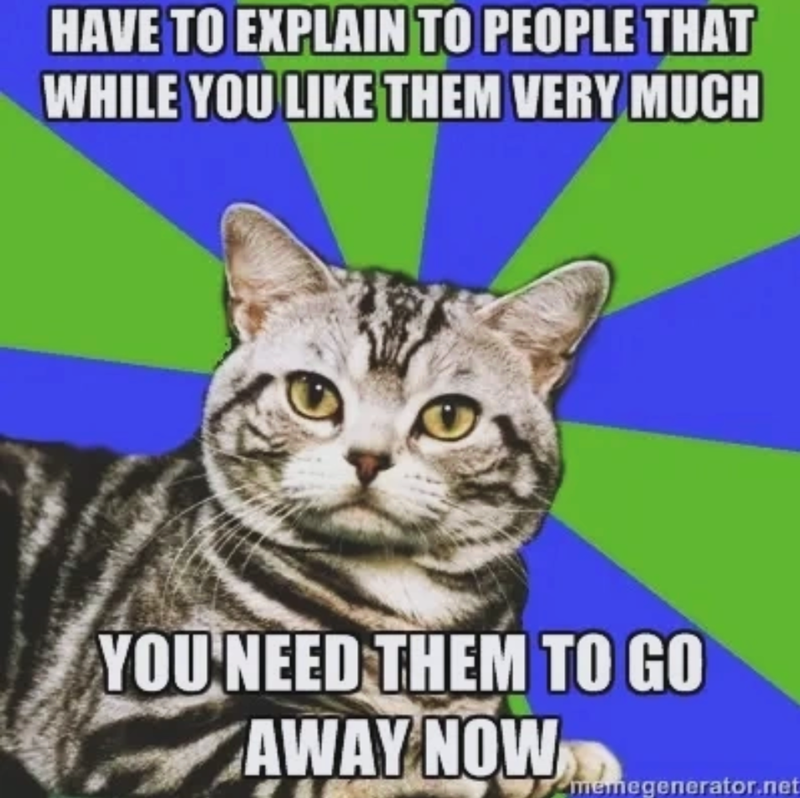 HAVE TO EXPLAIN TO PEOPLE THAT WHILE YOU LIKE THEM VERY MUCH YOU NEED THEM TO GO AWAY NOW memegenerator.net