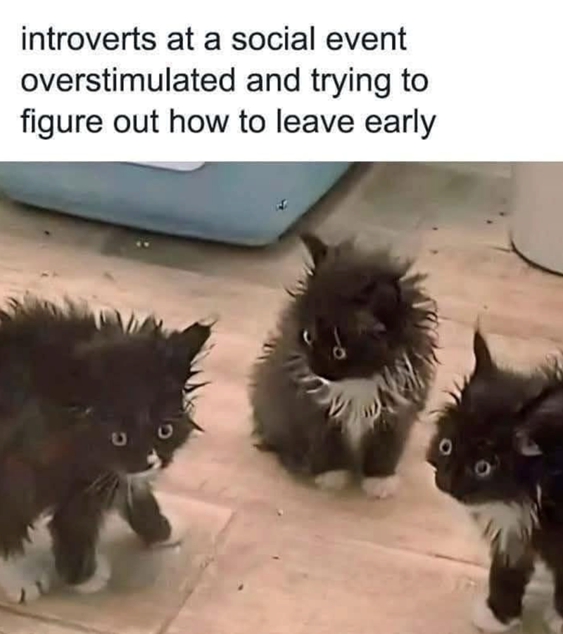 introverts at a social event overstimulated and trying to figure out how to leave early