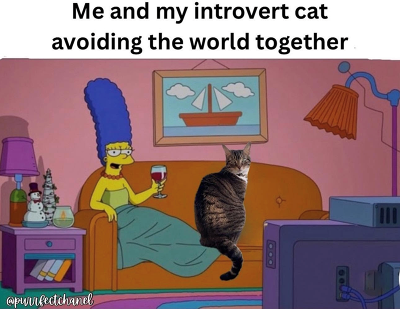 Me and my introvert cat avoiding the world together @purrfectchanel