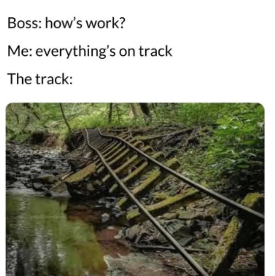 Boss: how's work? Me: everything's on track The track: