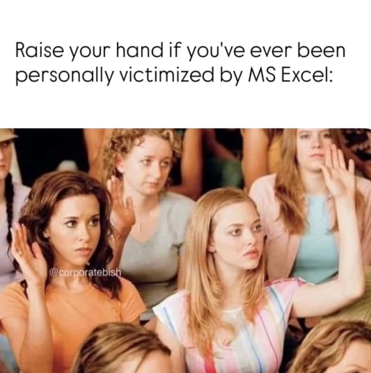 Raise your hand if you've ever been personally victimized by MS Excel: @corporatebish